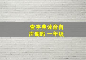 查字典读音有声调吗 一年级